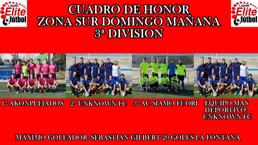 CUADRO DE HONOR. ZONA SUR DOMINGO MAÑANA 3ª DIVISIÓN